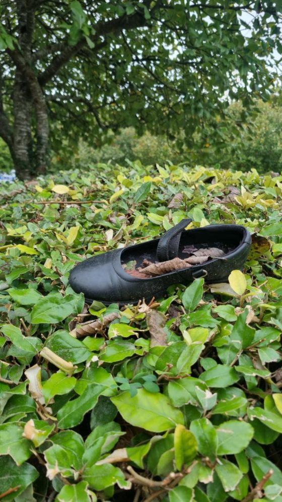 lonely shoe 0853 | Lonely shoes