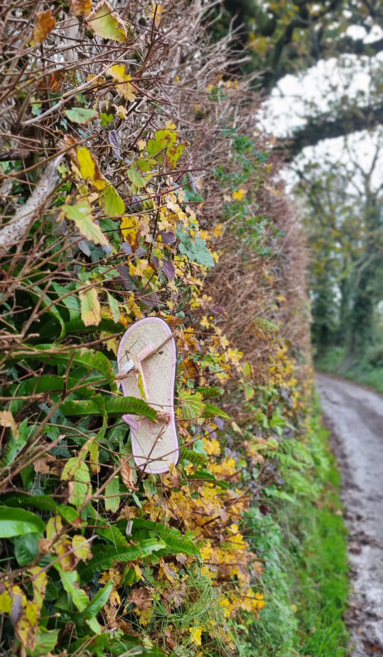 lonely shoe 0860 | Lonely shoes