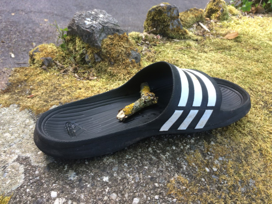 lonely shoe 0869 | Lonely shoes