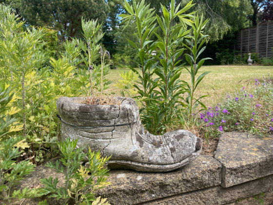 lonely shoe 0889 | Lonely shoes
