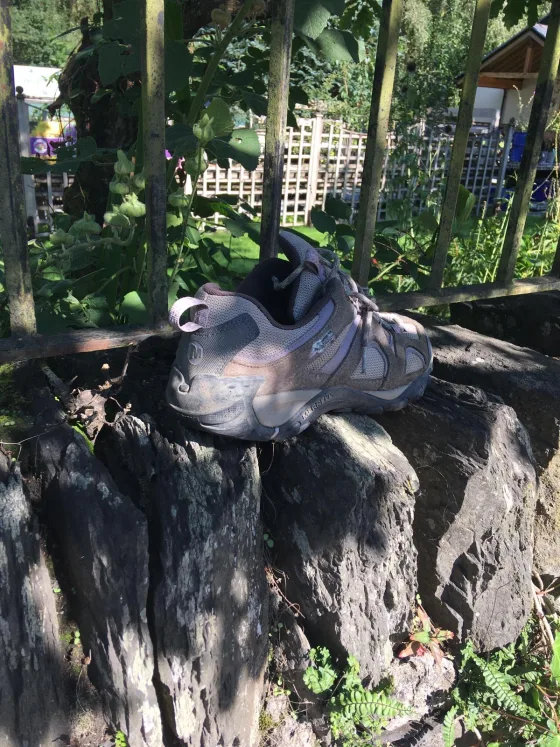 3106e561 2669 4516 93f8 3174926c4500 | Lonely shoes