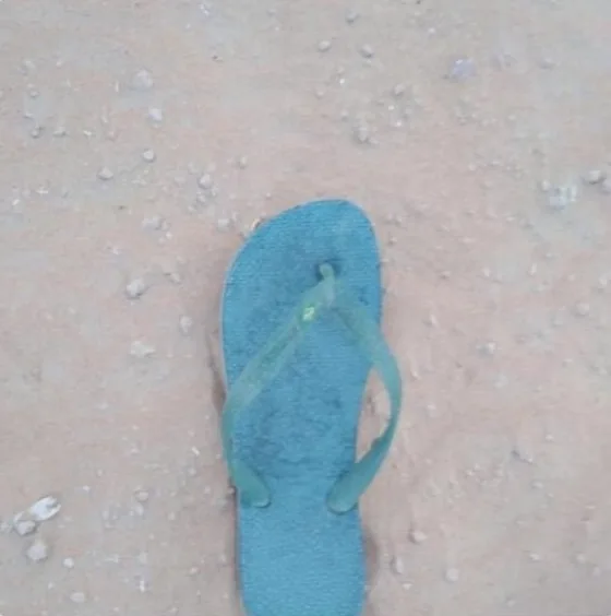 Lonely Shoe