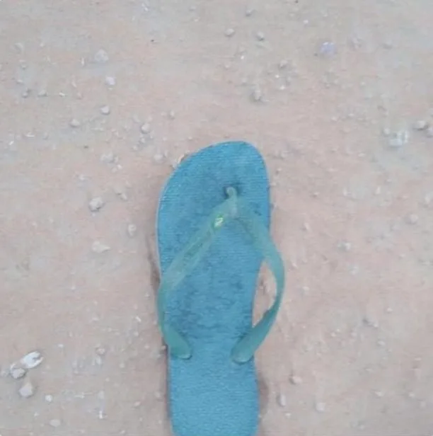 Al qudra blue desert Haviana United Arab Emirates flip-flop lonely shoe. Lonely Shoe