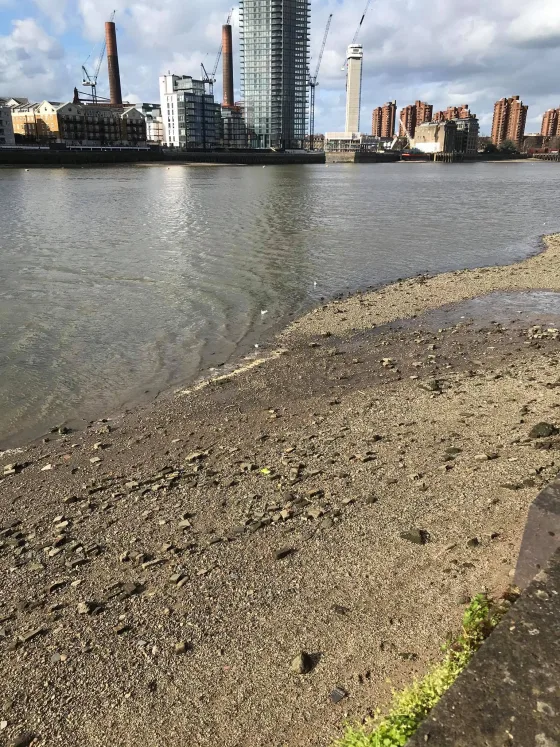 Loney shoe mudlarking | Lonely shoes