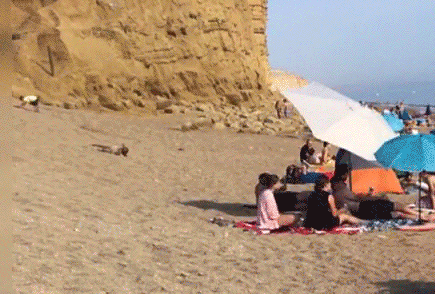 Broadchurch croc Dorset people umbrella West Bay lonely shoe. rollin lonely shoe | Lonely shoes
