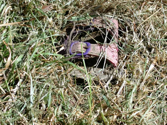 tumblr ljldqnkDbW1qifw7to1 1280 | Lonely shoes