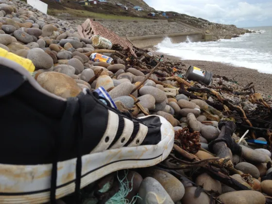 tumblr mvw2gqHo2b1qifw7to1 1280 | Lonely shoes
